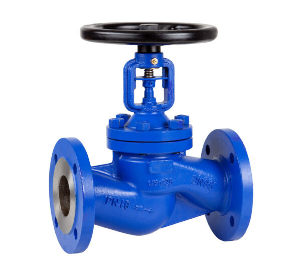 Globes Valve