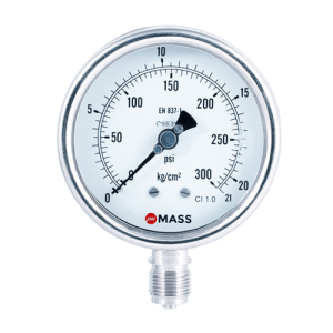 ZPS Process Pressure Gauge
