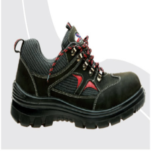 Low Ankle Safety Shoe