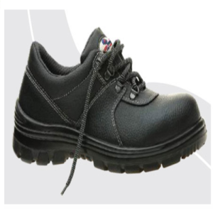 Low Ankle Safety Shoe