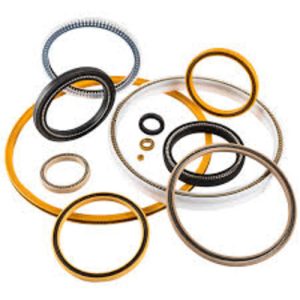 Energized Cup Seals