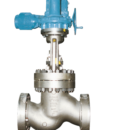 Fasani Bolted Bonnet LP/MP Check Valve