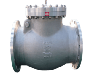 S&W Swing Check Valve