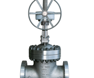 Fasani Bolted Bonnet Gate Valves