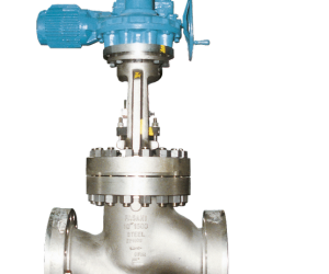 Fasani Bolted Bonnet LP MP Check Valve