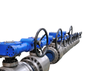 Forged steel fixed ball valve 5
