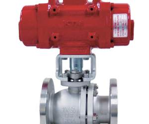 KTM Model AK & AW Pneumatic Actuators