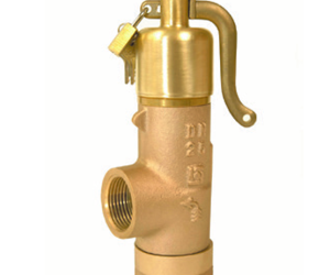 Kunkle Valve Bailey 707 Safety Relief Valve