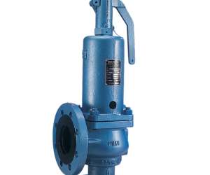 Kunkle Valve Bailey Model 756 Safety Relief Valves