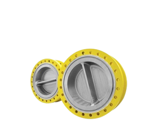 atv-spa-surface-DualPlateCheckValves_cover-removebg-preview