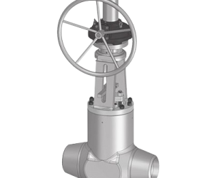 atv-spa-surface-WedgeGateValves_cover-removebg-preview