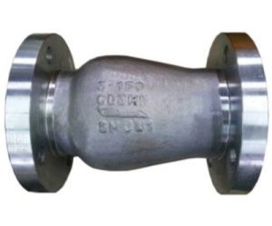 S&W Nozzle Check Valve