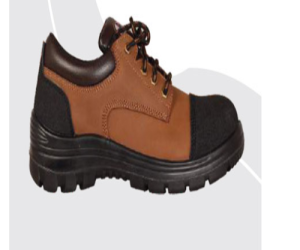 Low Ankle Safety Shoe